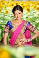kajal Half Saree Photos
